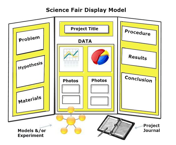 Science Fair Display Board